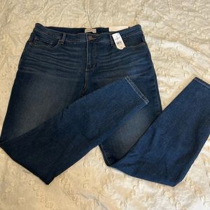 NWT LOFT Jeggings